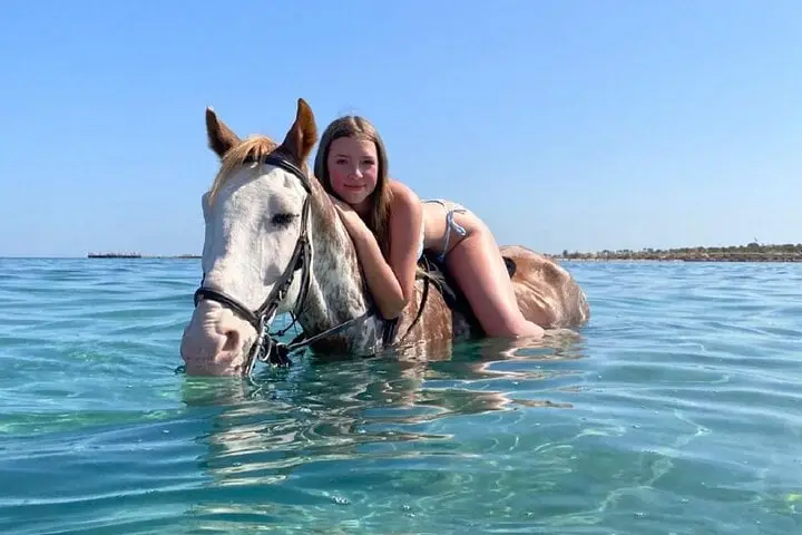 Horse Riding Hurghada Tour