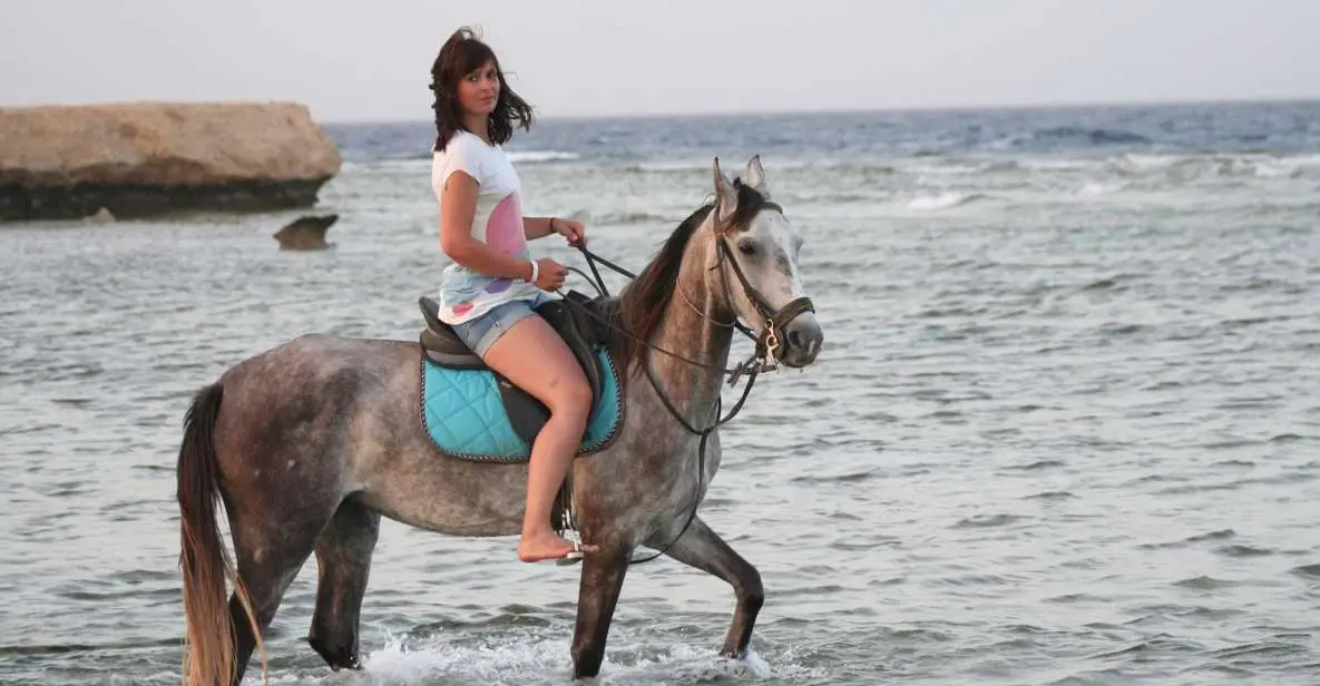 Horse Riding Hurghada Tour