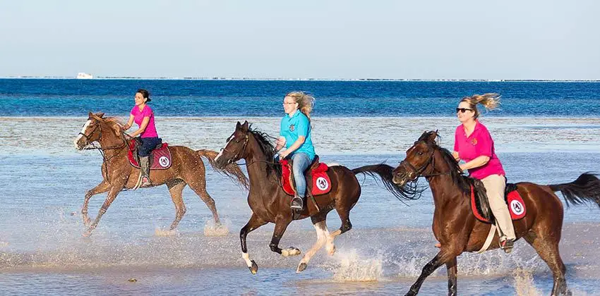 Horse Riding Hurghada Tour