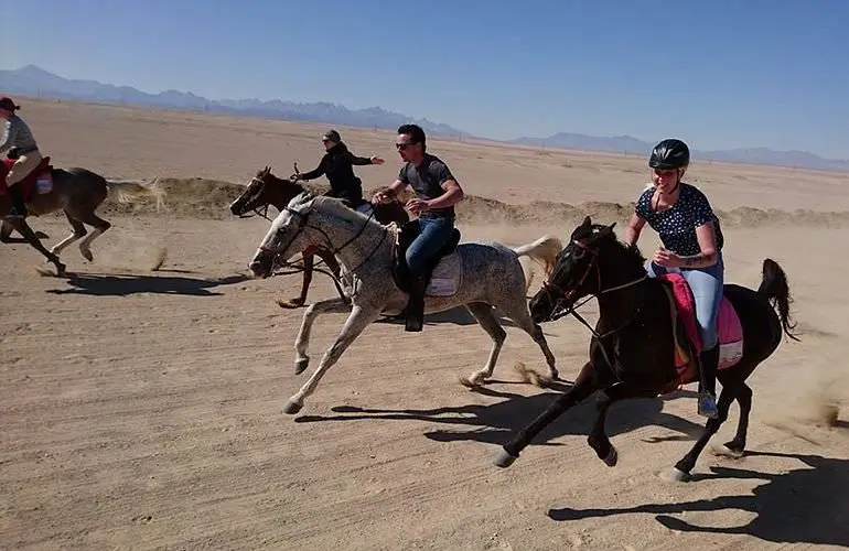 Horse Riding Hurghada Tour